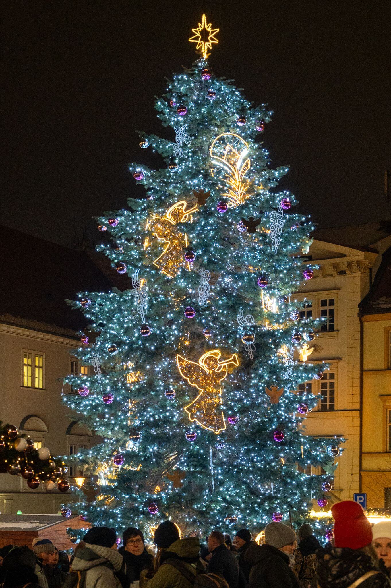 Slavnostní rozsvěcení vánočního stromu na Zelném trhu