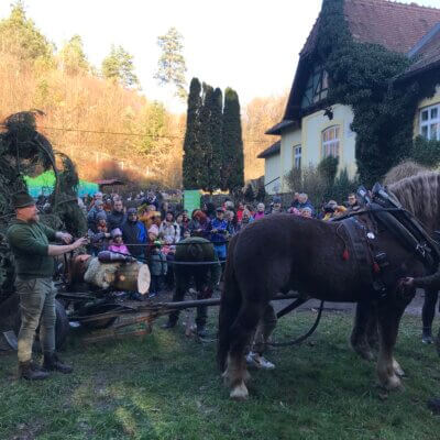 Překvapení pro Vás ke 100 leté tradici Vánočního stromu republiky